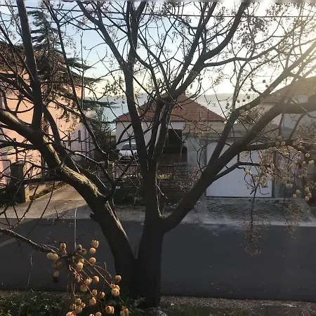 Villa Beachfront Ksenija - 4 Bedrooms & Parking Bibinje