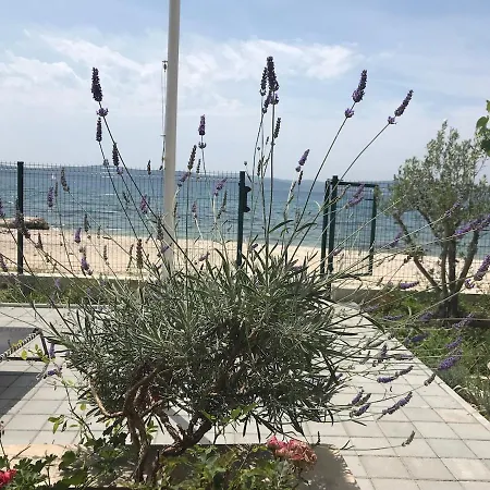 Beachfront Ksenija - 4 Bedrooms & Parking * ביבינייה