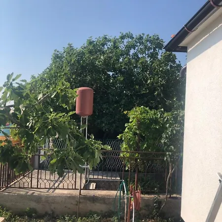 Villa Beachfront Ksenija - 4 Bedrooms & Parking Bibinje