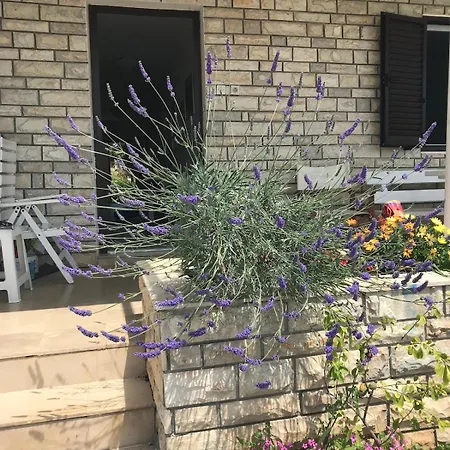 Villa Beachfront Ksenija - 4 Bedrooms & Parking *