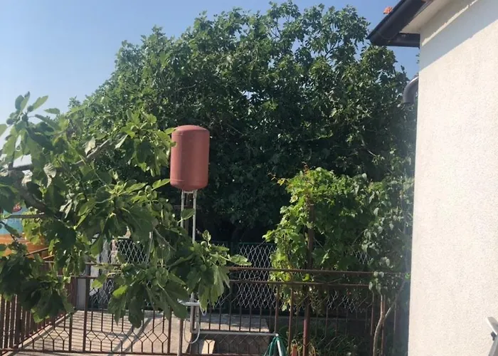 别墅 Beachfront Ksenija - 4 Bedrooms & Parking 比比涅